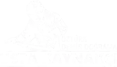 Usta Kaynakçı